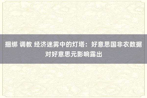 捆绑 调教 经济迷雾中的灯塔：好意思国非农数据对好意思元影响露出
