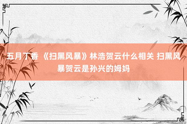 五月丁香 《扫黑风暴》林浩贺云什么相关 扫黑风暴贺云是孙兴的姆妈