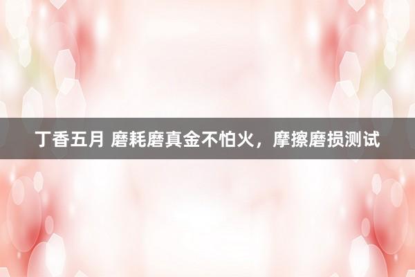 丁香五月 磨耗磨真金不怕火，摩擦磨损测试