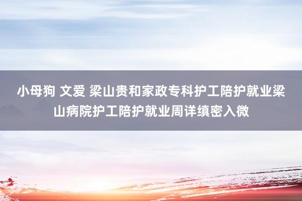 小母狗 文爱 梁山贵和家政专科护工陪护就业梁山病院护工陪护就业周详缜密入微