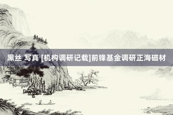 黑丝 写真 [机构调研记载]前锋基金调研正海磁材