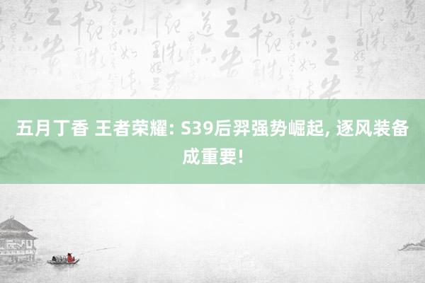 五月丁香 王者荣耀: S39后羿强势崛起， 逐风装备成重要!