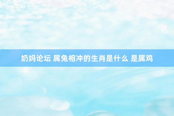奶妈论坛 属兔相冲的生肖是什么 是属鸡