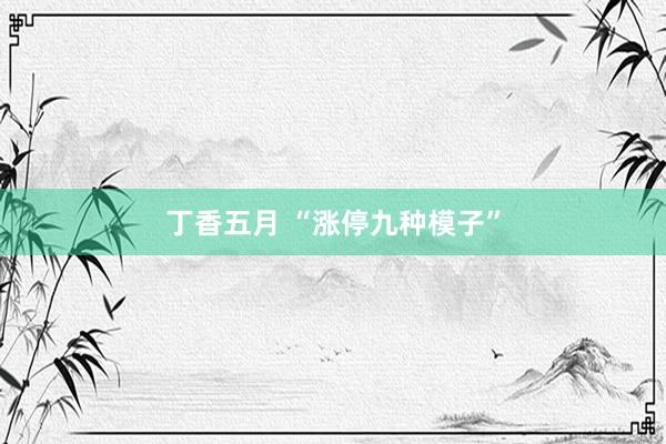 丁香五月 “涨停九种模子”